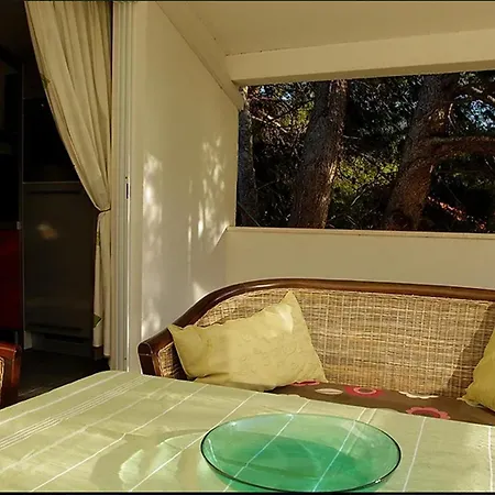 Olive-sunset Haven In * Zuljana