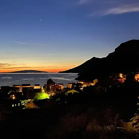 Olive-sunset Haven In Žuljana