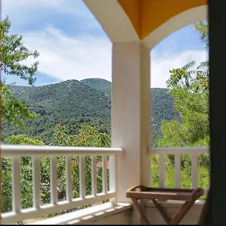 Olive-sunset Haven In
