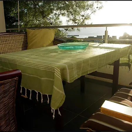 Olive-sunset Haven In *