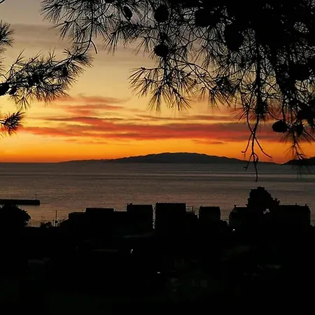 Olive-sunset Haven In Apartment